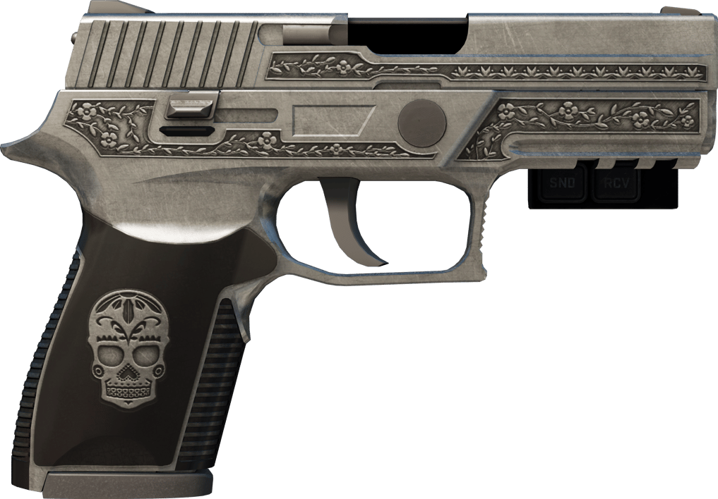 Preview image 2 of StatTrak™ P250 | Cartel (Com Pouco Uso)