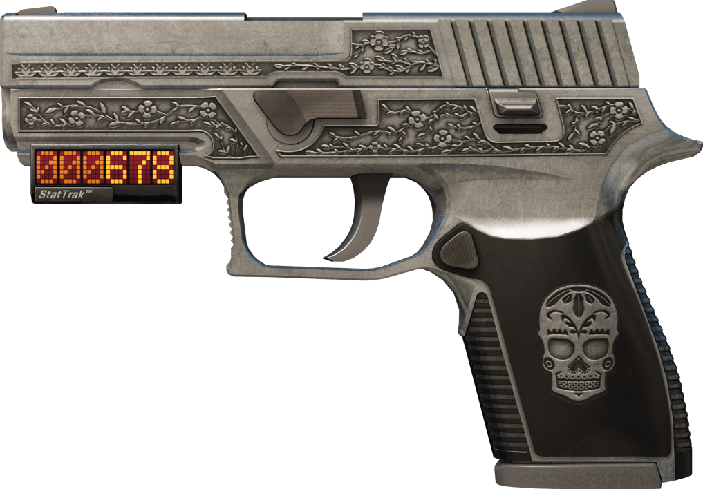 Preview image 1 of StatTrak™ P250 | Cartel (Com Pouco Uso)