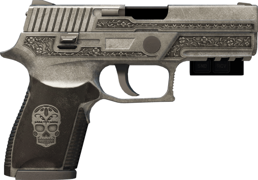 Preview image 2 of StatTrak™ P250 | Cartel (WW - Khá mòn)