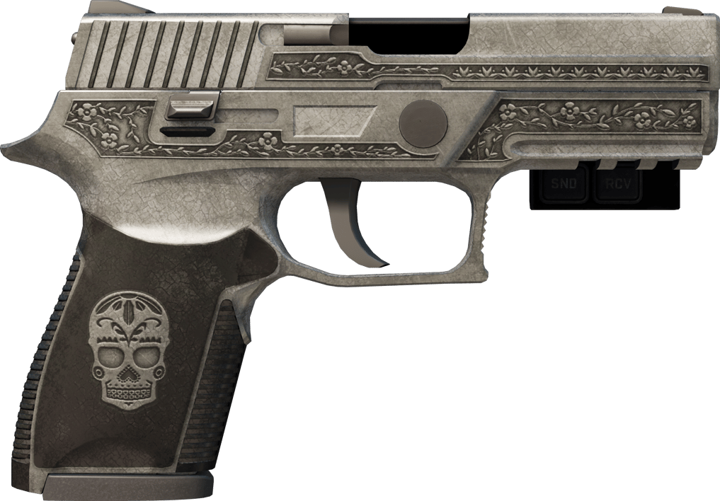 Preview image 2 of StatTrak™ P250 | Kartel (Eskimiş)