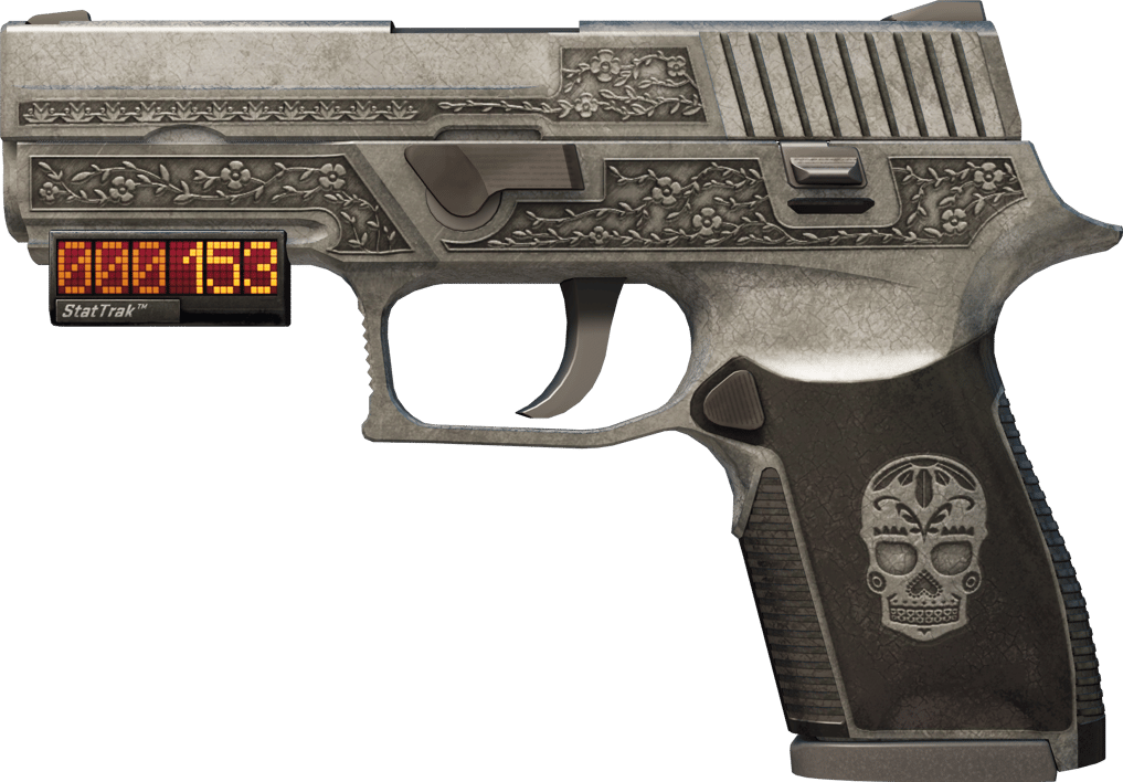 Preview image 1 of StatTrak™ P250 | Kartel (Eskimiş)