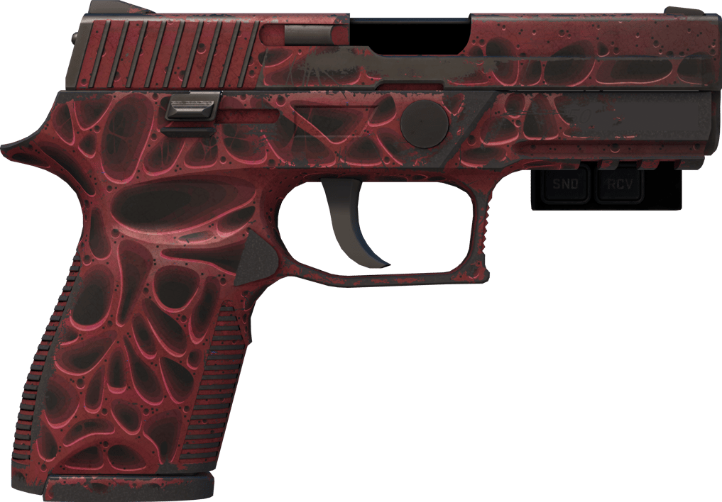 Preview image 2 of StatTrak™ P250 | 侵蝕朽化 (戰痕累累)