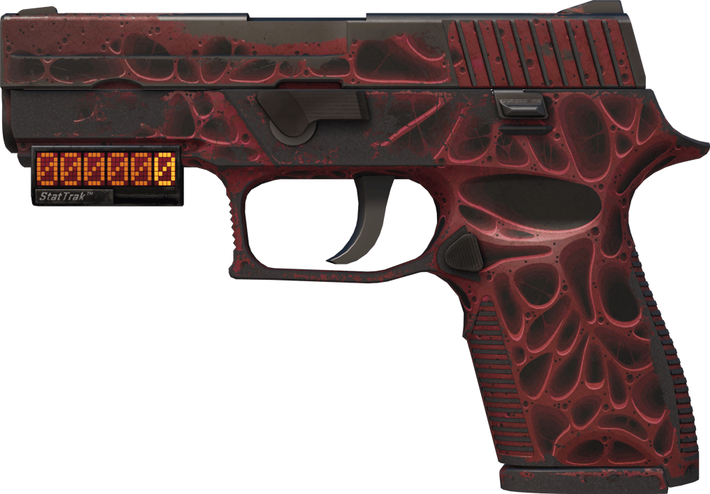 Preview image 1 of StatTrak™ P250 | 侵蝕朽化 (戰痕累累)