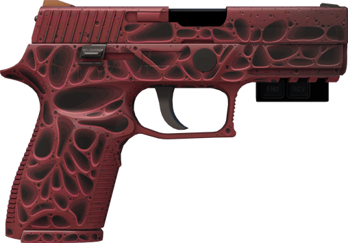 Preview image 2 of StatTrak™ P250 | 侵蝕朽化 (全新出廠)