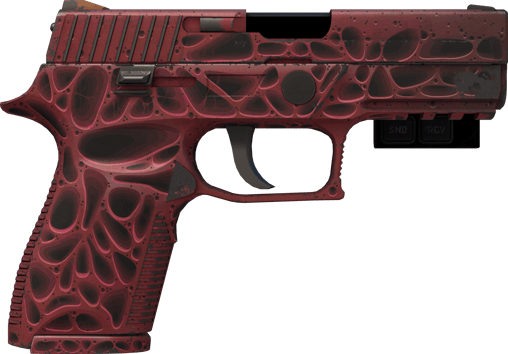 Preview image 2 of StatTrak™ P250 | 오염 (현장에서 쓰인)