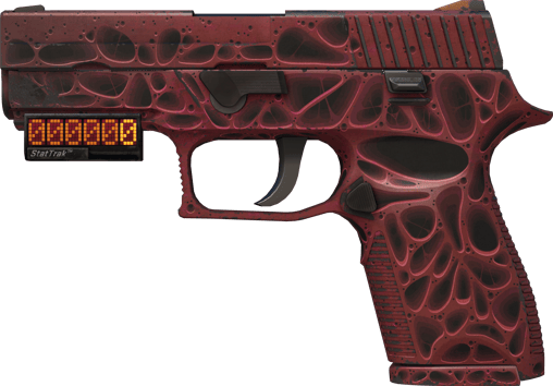 StatTrak™ P250 | 오염 (현장에서 쓰인)