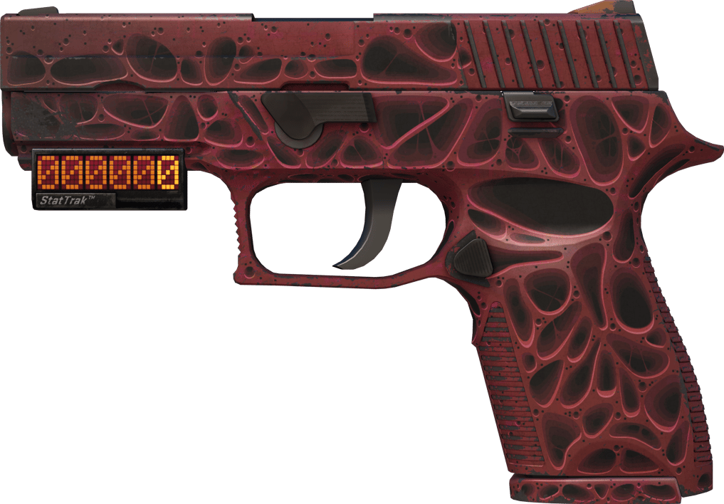 Preview image 1 of StatTrak™ P250 | 侵蝕朽化 (戰場實測)