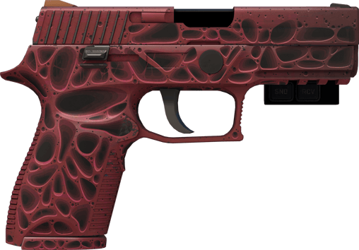 Preview image 2 of StatTrak™ P250 | 오염 (거의 깨끗한)
