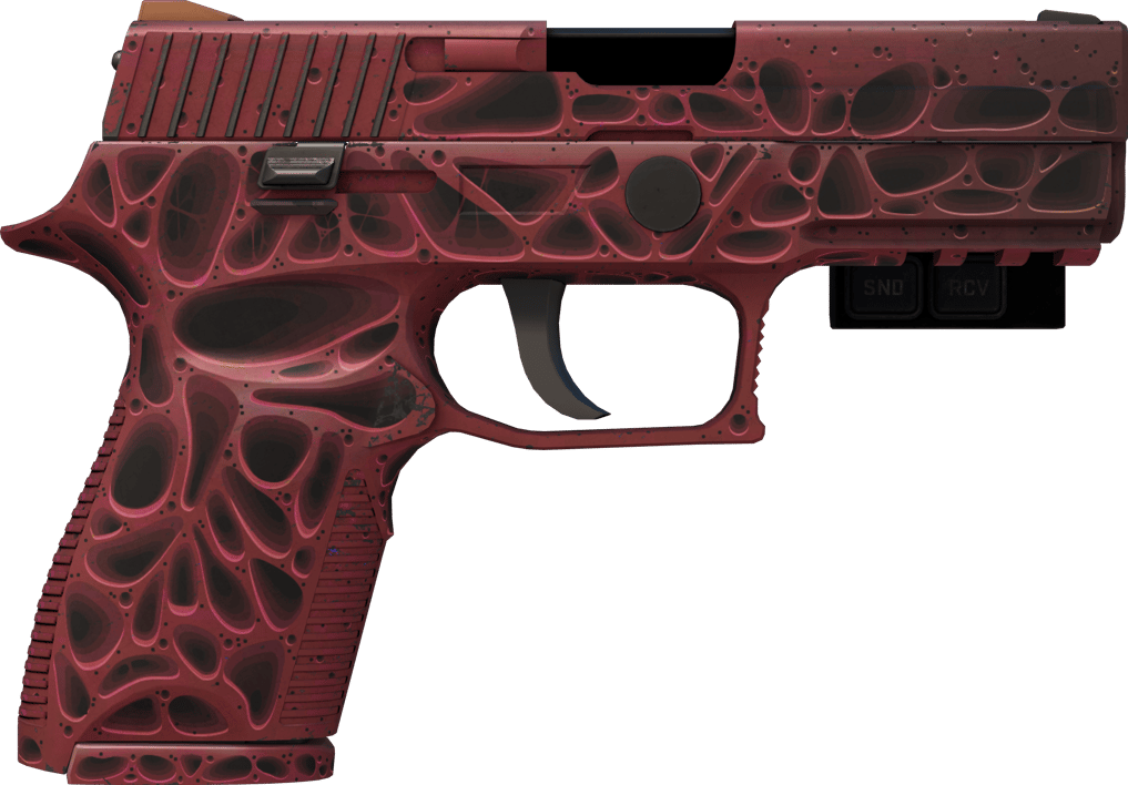 Preview image 2 of StatTrak™ P250 | Contaminant (Com Pouco Uso)