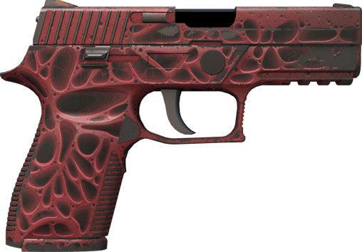 Preview image 2 of StatTrak™ P250 | 오염 (꽤 닳은)