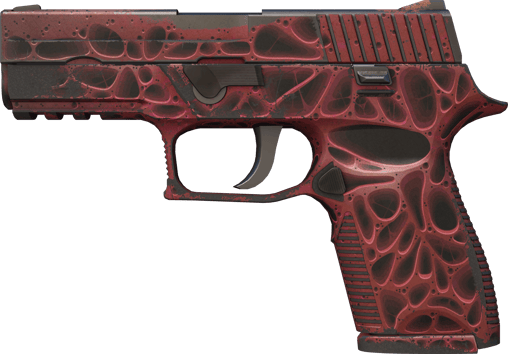 StatTrak™ P250 | 오염 (꽤 닳은)