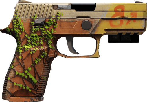 Preview image 2 of StatTrak™ P250 | 炼狱小镇 (略有磨损)