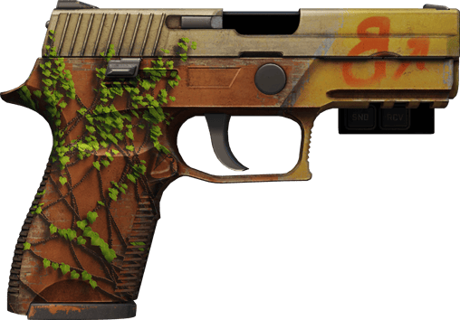 Preview image 2 of StatTrak™ P250 | 炼狱小镇 (破损不堪)