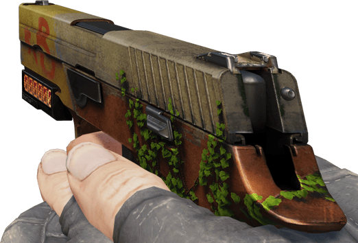 Preview image 3 of StatTrak™ P250 | 炼狱小镇 (破损不堪)