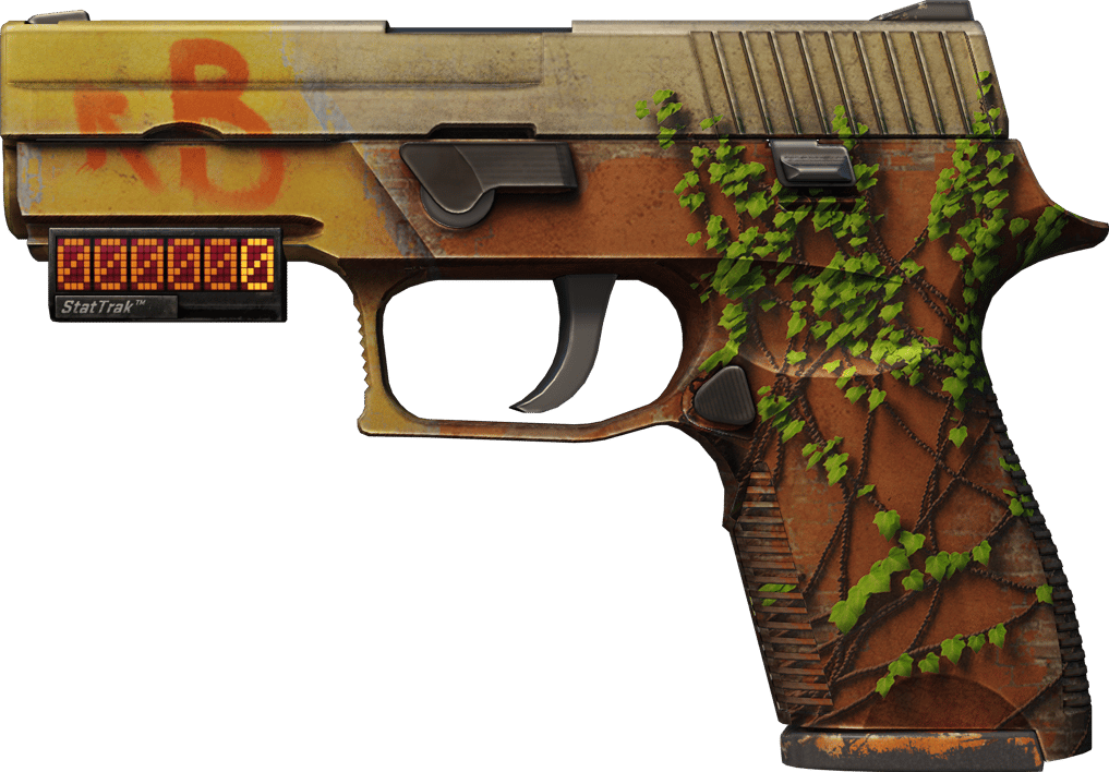 Preview image 1 of StatTrak™ P250 | 炼狱小镇 (破损不堪)