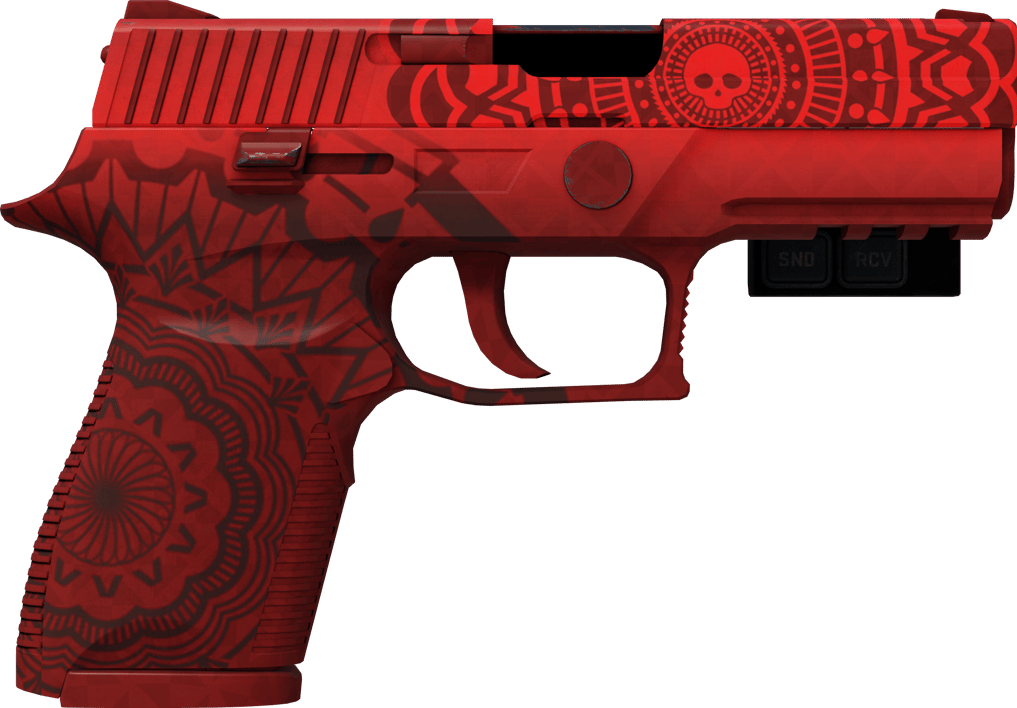 Preview image 2 of StatTrak™ P250 | 亡靈 (戰場實測)