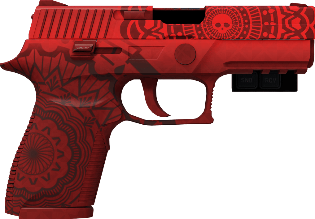 Preview image 2 of StatTrak™ P250 | Muertos (Minimal Wear)