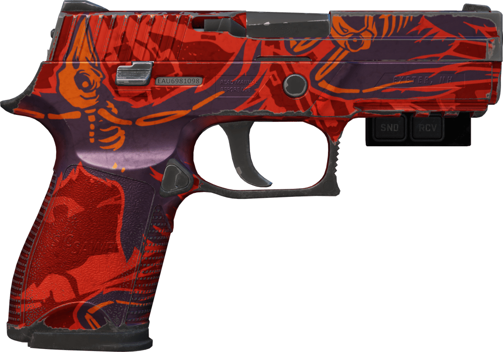Preview image 2 of StatTrak™ P250 | Nevermore (Well-Worn)