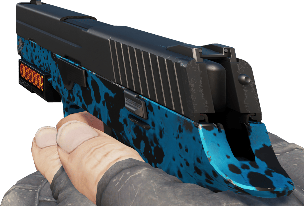 Preview image 3 of StatTrak™ P250 | Sog (Minimale Gebrauchsspuren)