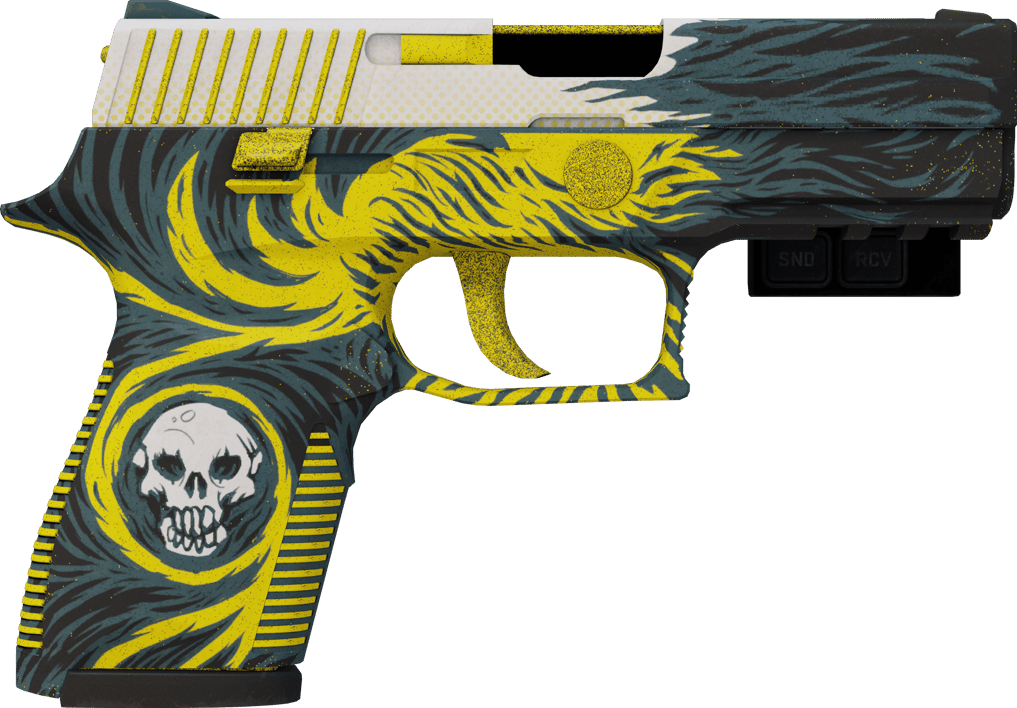 Preview image 2 of StatTrak™ P250 | Wingshot (Minimal Wear)