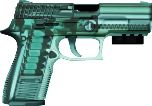 Preview image 2 of StatTrak™ P250 | Rentgen (prosto z fabryki)