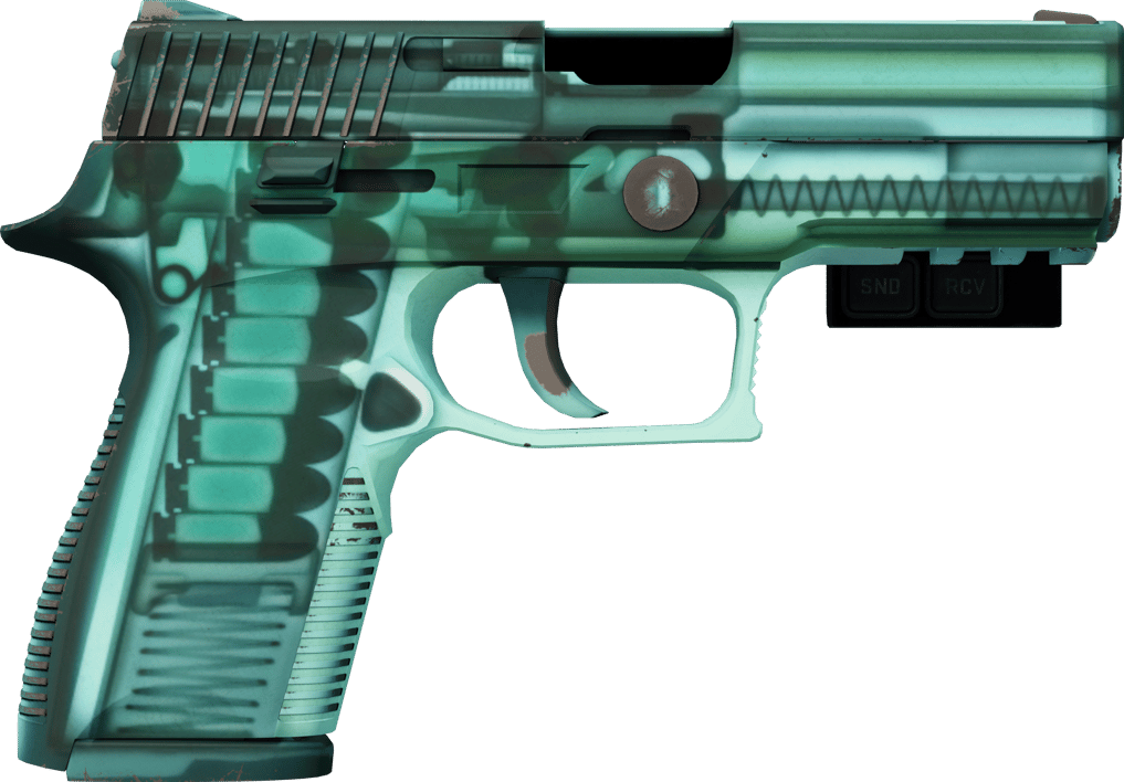 Preview image 2 of StatTrak™ P250 | X-Ray (Field-Tested)