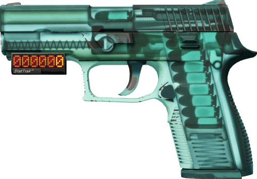 StatTrak™ P250 | X-Ray (현장에서 쓰인)