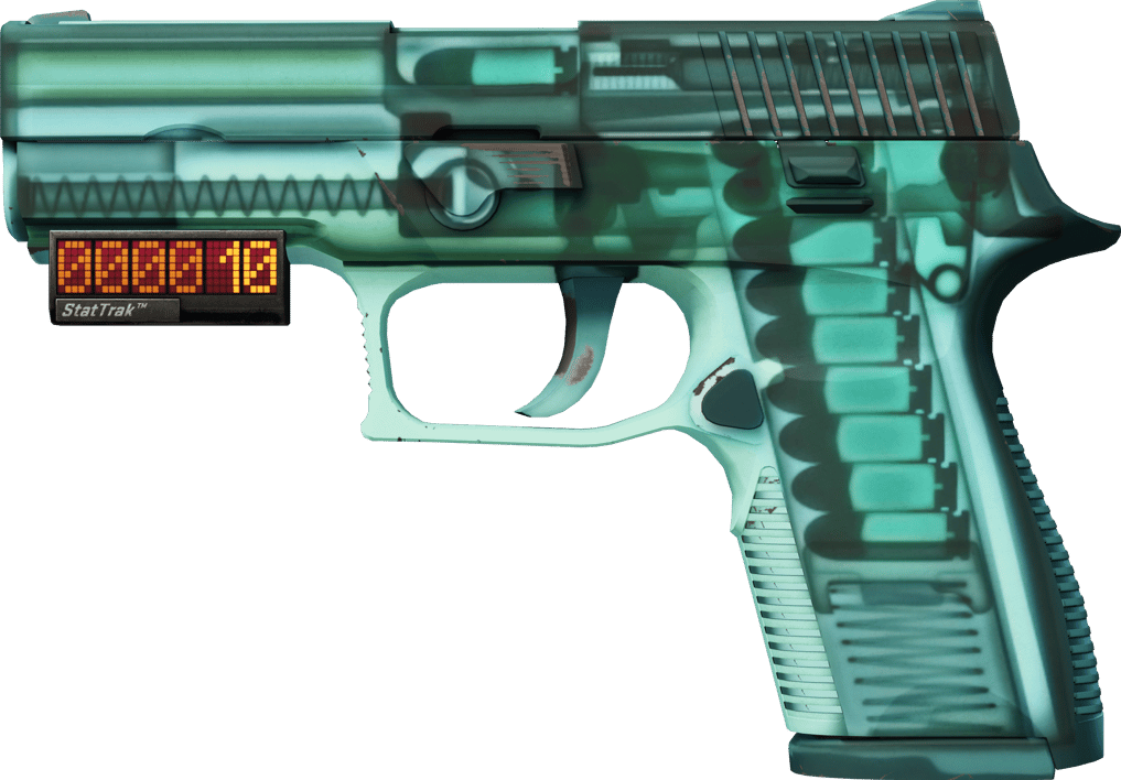 Preview image 1 of StatTrak™ P250 | X-Ray (Com Pouco Uso)