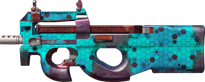 Module image