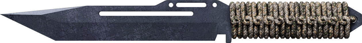 Preview image 2 of ★ StatTrak™ 系绳匕首 | 蓝钢 (战痕累累)