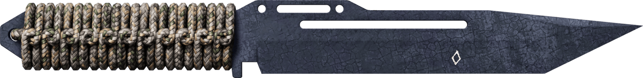 Preview image 1 of ★ StatTrak™ 系绳匕首 | 蓝钢 (战痕累累)