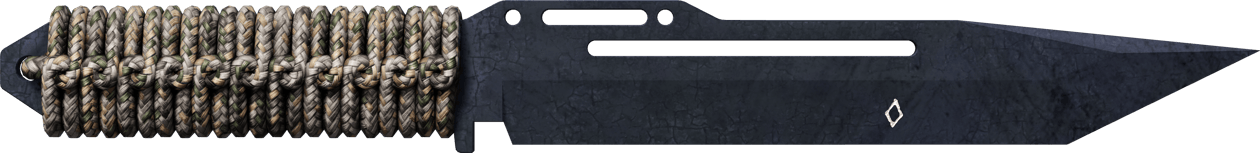 Preview image 1 of ★ StatTrak™ 파라코드 칼 | 푸른 강철 (현장에서 쓰인)