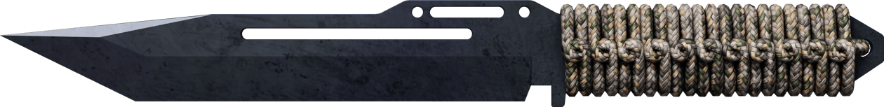 Preview image 2 of ★ StatTrak™ 系绳匕首 | 蓝钢 (略有磨损)