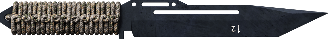 Preview image 1 of ★ StatTrak™ 系绳匕首 | 蓝钢 (略有磨损)