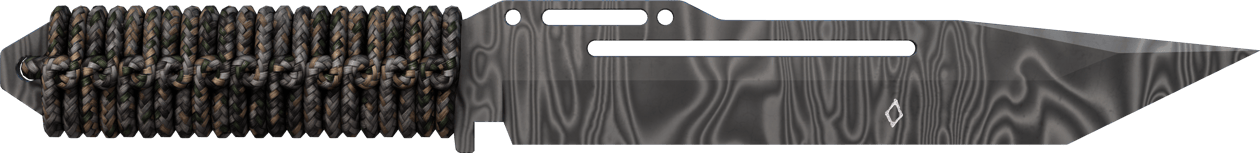 Preview image 1 of ★ StatTrak™ 파라코드 칼 | 다마스크 강철 (거의 깨끗한)