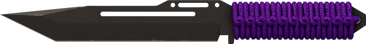 Preview image 2 of ★ StatTrak™ 파라코드 칼 | 자외선 (현장에서 쓰인)