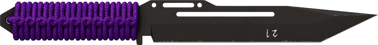 Preview image 1 of ★ StatTrak™ 파라코드 칼 | 자외선 (현장에서 쓰인)