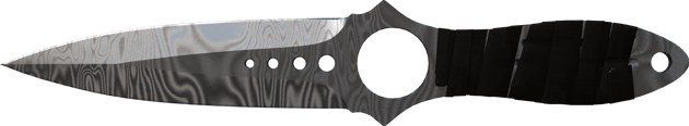 Preview image 2 of ★ StatTrak™ 스켈레톤 칼 | 다마스크 강철 (현장에서 쓰인)