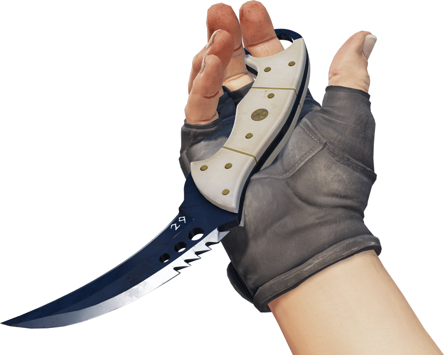 Preview image 3 of ★ StatTrak™ Talon Knife | Blue Steel (Factory New)
