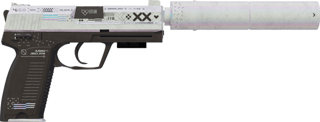 Preview image 2 of StatTrak™ USP-S | Printstream (Reissussa rähjääntynyt)