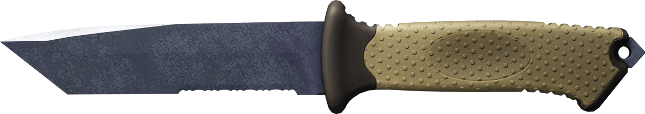 Preview image 2 of ★ Ursus Knife | Blue Steel (Battle-Scarred)