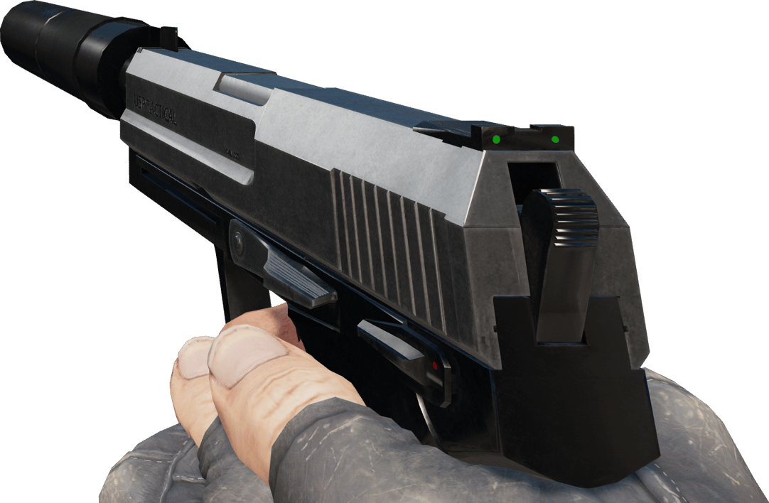 Preview image 3 of USP-S | Stainless (Field-Tested)