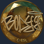 Sticker | bodyy (Gold) | Katowice 2019