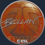 Sticker | Brollan | Katowice 2019