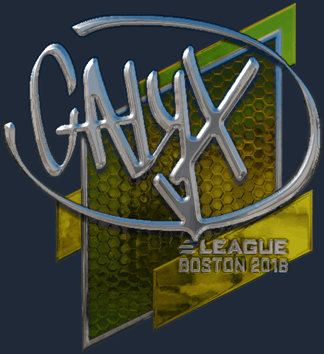 Sticker | Calyx(闪亮)| 2018年波士顿锦标赛