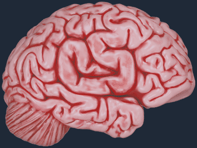 Sticker | CS On The Mind