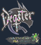 Sticker | degster (Glitter) | Antwerp 2022