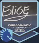 Sticker | EliGE | Cluj-Napoca 2015