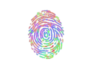 Evidence (Holo) image