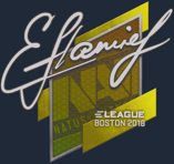 Sticker | flamie | Boston 2018